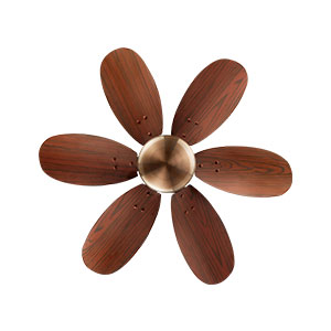 fans-1